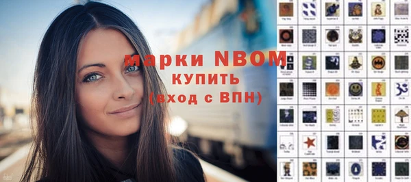 индика Медвежьегорск