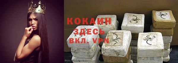 индика Медвежьегорск