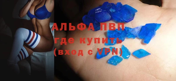 индика Медвежьегорск