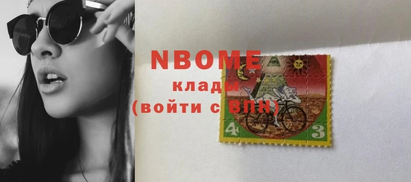индика Медвежьегорск