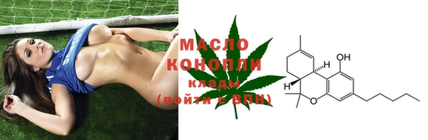 индика Медвежьегорск