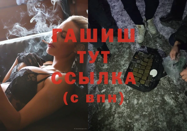 индика Медвежьегорск