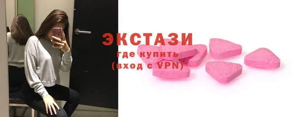 индика Медвежьегорск