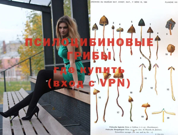 мдпв Мегион