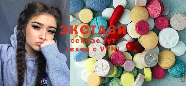 индика Медвежьегорск