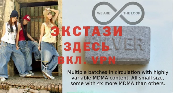 индика Медвежьегорск