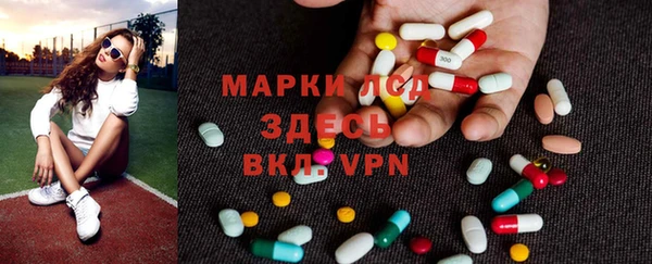 индика Медвежьегорск