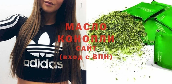 индика Медвежьегорск