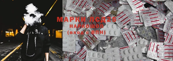 индика Медвежьегорск