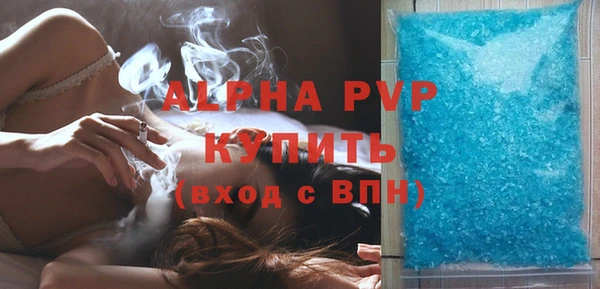 индика Медвежьегорск