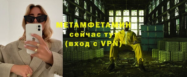 индика Медвежьегорск