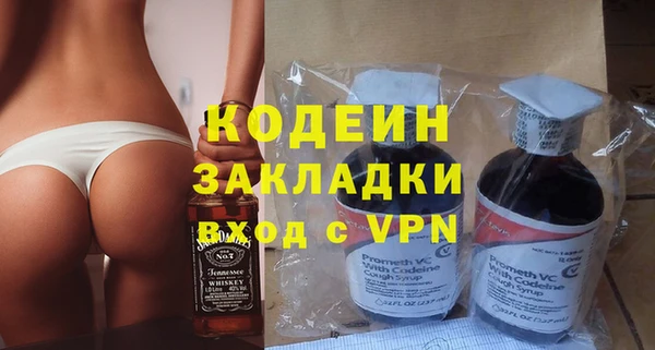 индика Медвежьегорск